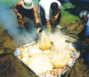 Maori hangi cooked in the ground Maori hangi cooked in the ground