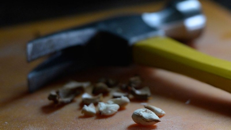 16708-1F912150331404